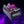 Load image into Gallery viewer, Space Footswitch Toppers